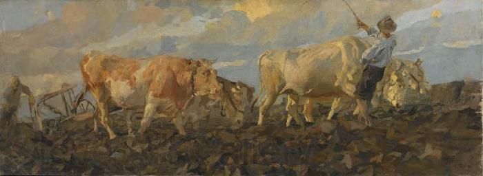 Ettore Tito Oxen Plowing